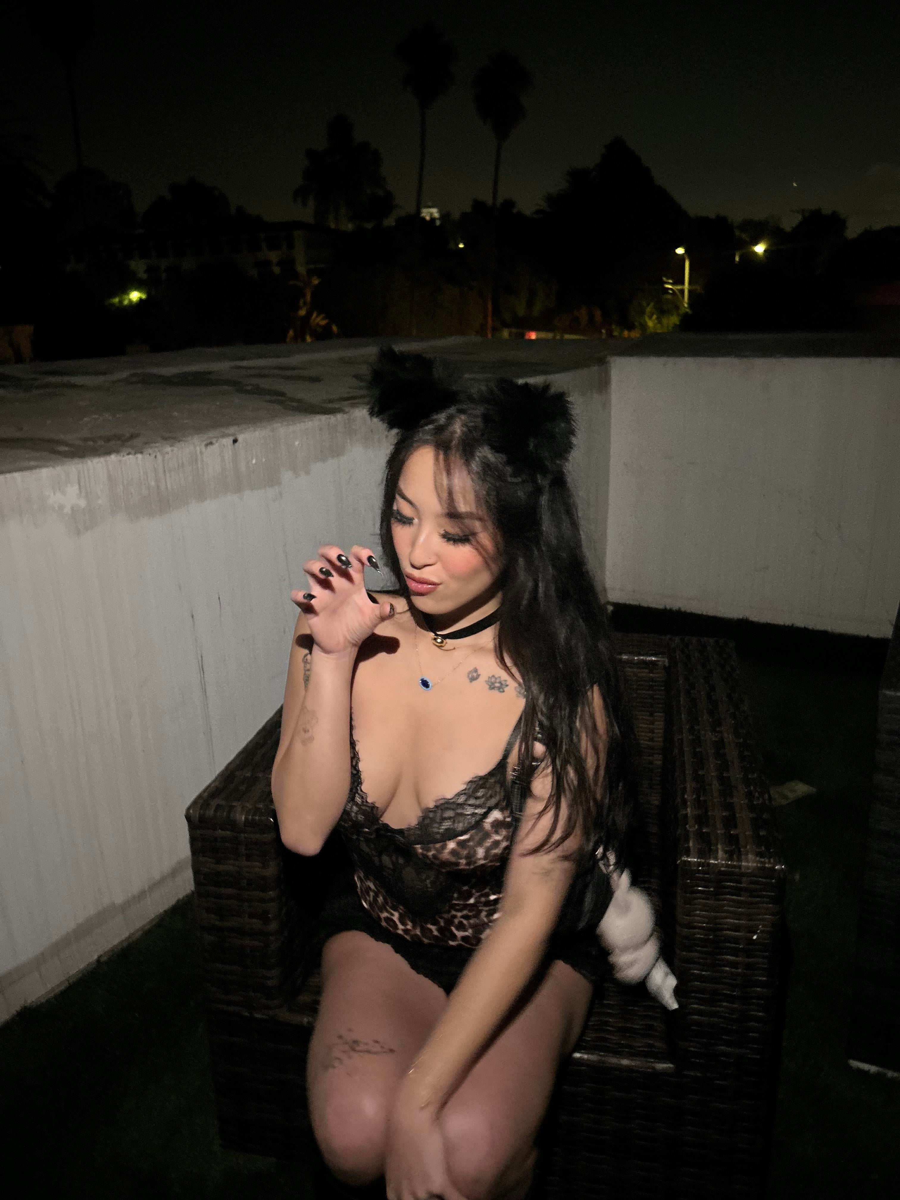 Halloween ready 😽👻🎃 - Preview